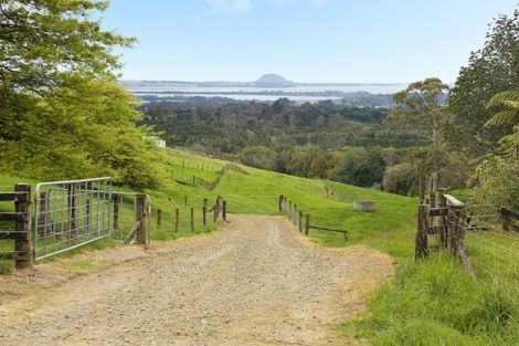 Photo of property in 413b Busby Road, Tahawai, Katikati, 3170