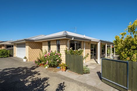 Photo of property in 42 Tremorne Avenue, Blenheim, 7201