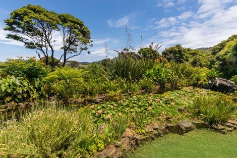 Photo of property in 800 Buffalo Road, Coromandel, 3506