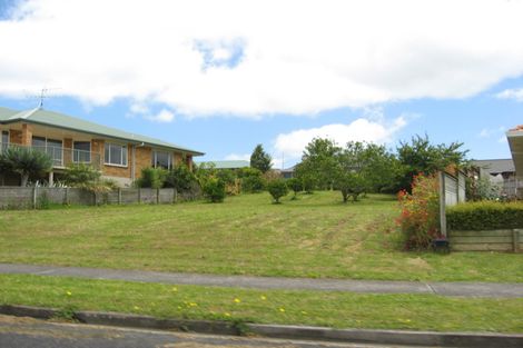 Photo of property in 221 Wellington Street, Pukekohe, 2120