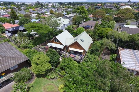 Photo of property in 10a Ridout Street, Maeroa, Hamilton, 3200