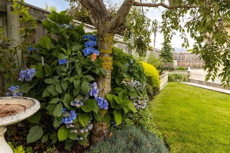 Photo of property in 217 Taylor Pass Road, Witherlea, Blenheim, 7201