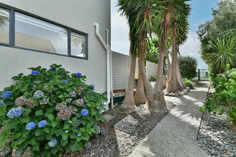 Photo of property in 56 Regency Park Drive, Gulf Harbour, Whangaparaoa, 0930