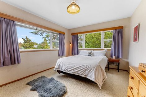 Photo of property in 43 Wakeman Street, Pahiatua, 4910