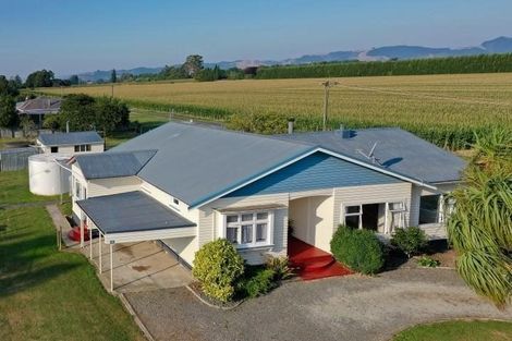 Photo of property in 142 Seddon Street, Patutahi, Gisborne, 4072