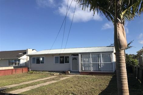 Photo of property in 67 Webster Avenue, Mount Roskill, Auckland, 1041