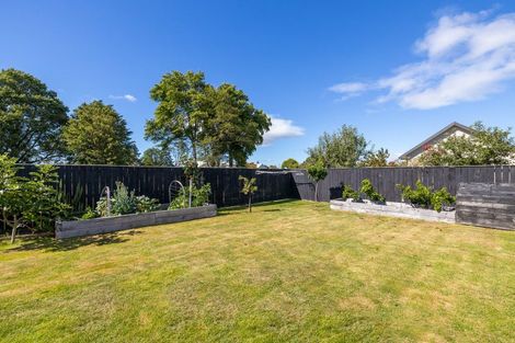 Photo of property in 20 Whatman Avenue, Masterton, 5810