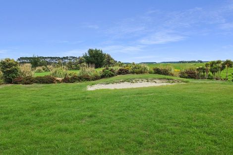 Photo of property in 90 Bergin Road, Foxton, 4814