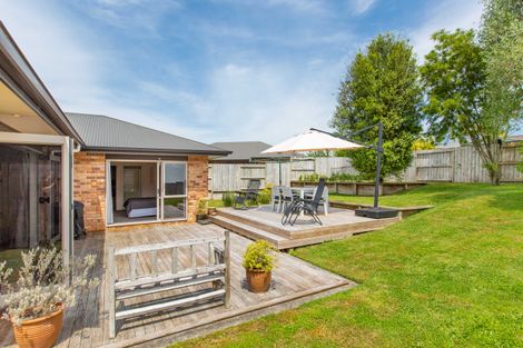 Photo of property in 74 Station Road, Matamata, 3400
