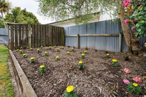 Photo of property in 9 Parata Street, Hokowhitu, Palmerston North, 4410