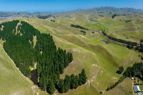 Photo of property in 363 Caseys Road, Lake Grassmere, Seddon, 7285