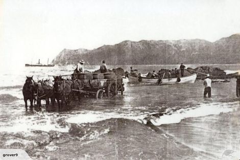 Photo of property in 502 Waipiro Road, Waipiro, Tokomaru Bay, 4079