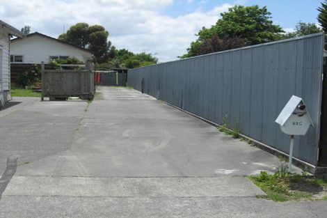 Photo of property in 113c Denbigh Street, Feilding, 4702