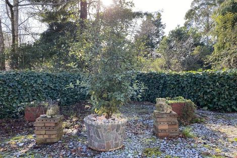 Photo of property in 61 Dame Street, Waikouaiti, 9510