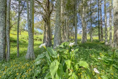 Photo of property in 535 Matahuru Road, Waiterimu, Ohinewai, 3784