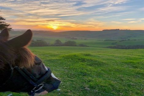 Photo of property in 176 Morrison Road, Arapohue, Dargaville, 0374