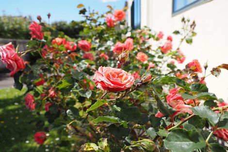 Photo of property in 9 Graven Court, Henderson, Auckland, 0612