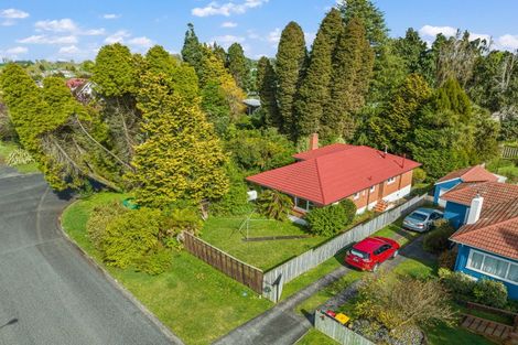 Photo of property in 2 High Street, Putaruru, 3411