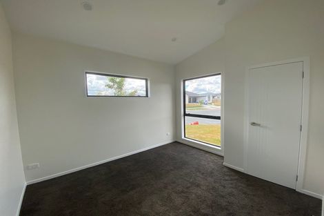 Photo of property in 29 Maggie Place, Chartwell, Hamilton, 3210