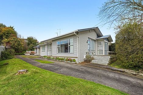Photo of property in 12 Thomson Avenue, Dinsdale, Hamilton, 3204