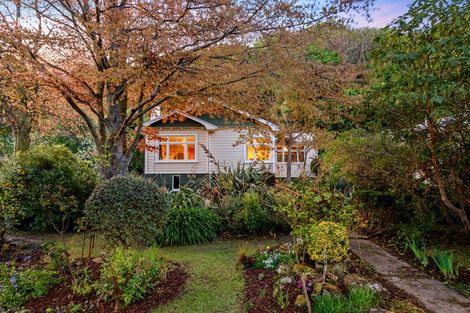 Photo of property in 59 Somerville Street, Andersons Bay, Dunedin, 9013