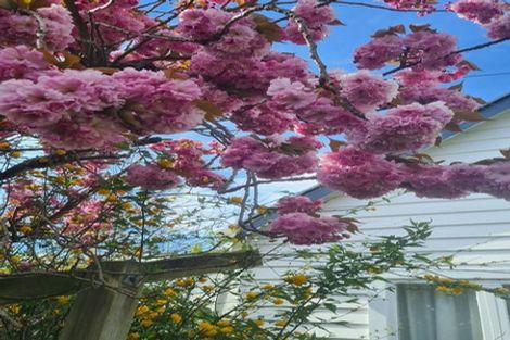 Photo of property in 8 Queen Street, Springfield, 7681