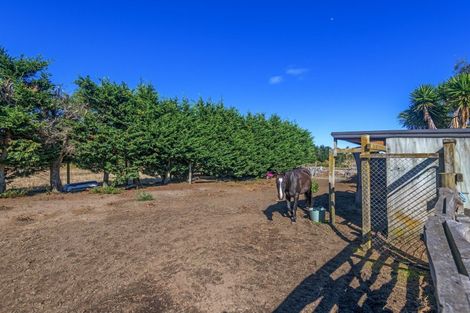 Photo of property in 250 Foxton Shannon Road, Foxton, 4893