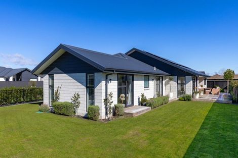 Photo of property in 33 Nikau Drive, Redwoodtown, Blenheim, 7201