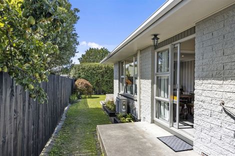 Photo of property in 2/71c Conway Street, Somerfield, Christchurch, 8024