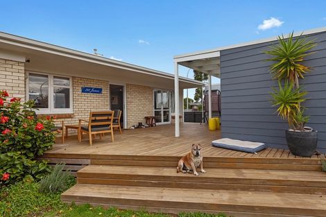 Photo of property in 211 James Street, Whakatane, 3120