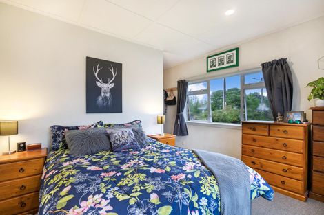 Photo of property in 29 Montgomery Avenue, Pukekohe, 2120