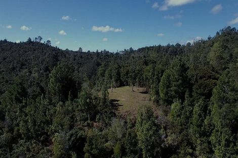 Photo of property in 625 Rangihau Road, Coroglen, Whitianga, 3591