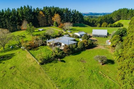Photo of property in 307 Campbell Road, Pukehina, Te Puke, 3186