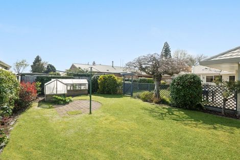 Photo of property in 79 Burwood Road, Matamata, 3400