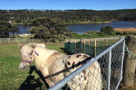 Photo of property in 541 Wilson Road, South Head, Helensville, 0874