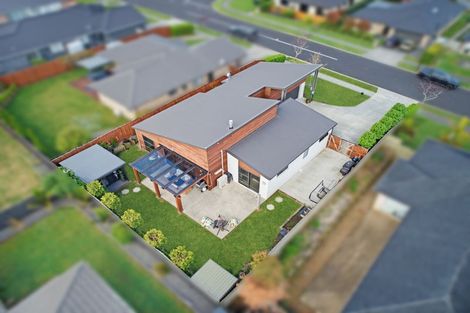 Photo of property in 12 Millbrae Place, Pokeno, 2402