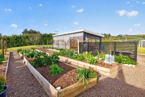 Photo of property in 157e Kaiate Falls Road, Waitao, Tauranga, 3175