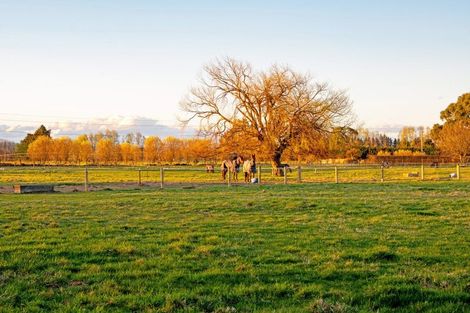 Photo of property in 25 Hallfield Drive, Ohoka, Kaiapoi, 7692