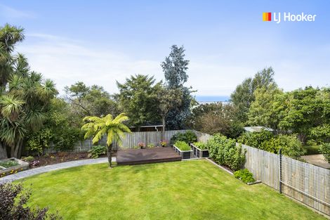 Photo of property in 9 Mcgeorge Avenue, Mornington, Dunedin, 9011