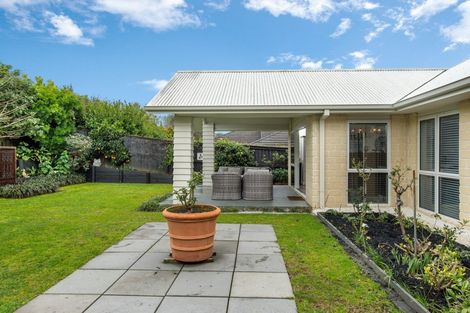 Photo of property in 17 Merriman Place, Pyes Pa, Tauranga, 3112