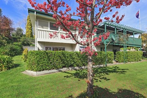 Photo of property in 19 Muritai Crescent, Havelock North, 4130
