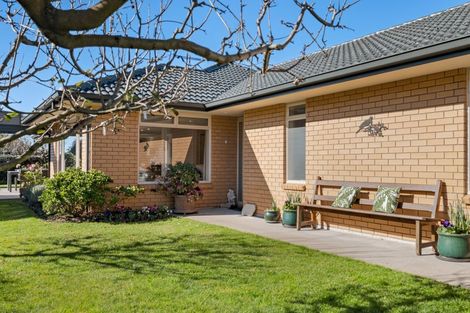 Photo of property in 19 Clydesburn Avenue, Te Puke, 3119