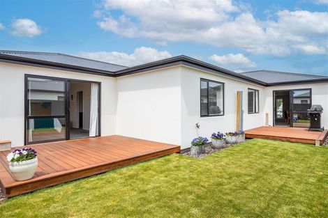 Photo of property in 12 Pakohe Street, Pegasus, 7612