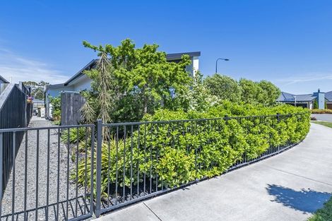 Photo of property in 17 Burrow Street, Rolleston, 7614