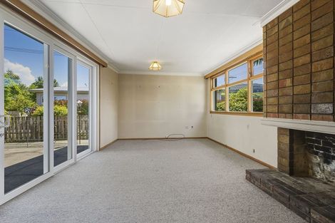 Photo of property in 141 Shetland Street, Wakari, Dunedin, 9010