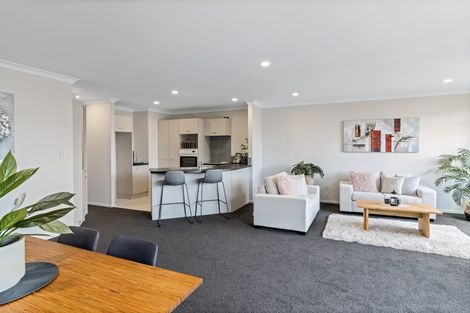 Photo of property in 438e Tristram Street, Whitiora, Hamilton, 3200