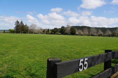 Photo of property in 55 Sunnyside Road, Coatesville, 0793