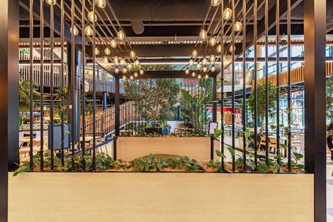 Photo of property in 14 Foley Grove, Pyes Pa, Tauranga, 3110