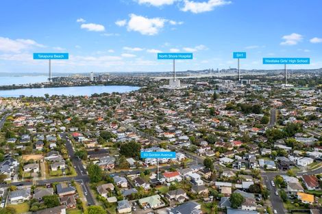 Photo of property in 53 Gordon Avenue, Forrest Hill, Auckland, 0620