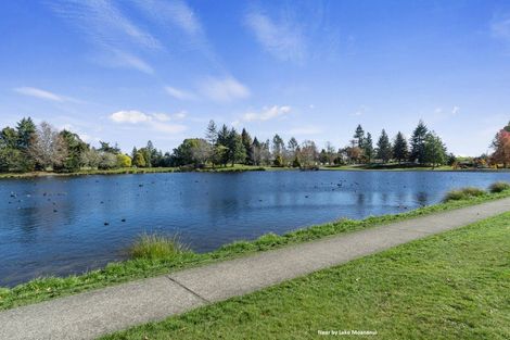 Photo of property in 39 Kaka Crescent, Tokoroa, 3420
